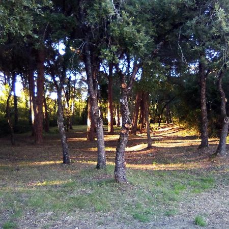 Enjoy The Best Of Countryside Leiria Bagian luar foto