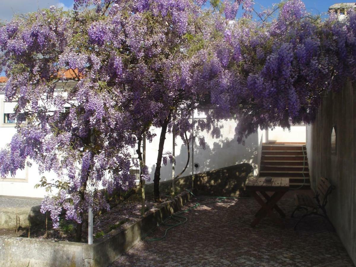 Enjoy The Best Of Countryside Leiria Bagian luar foto
