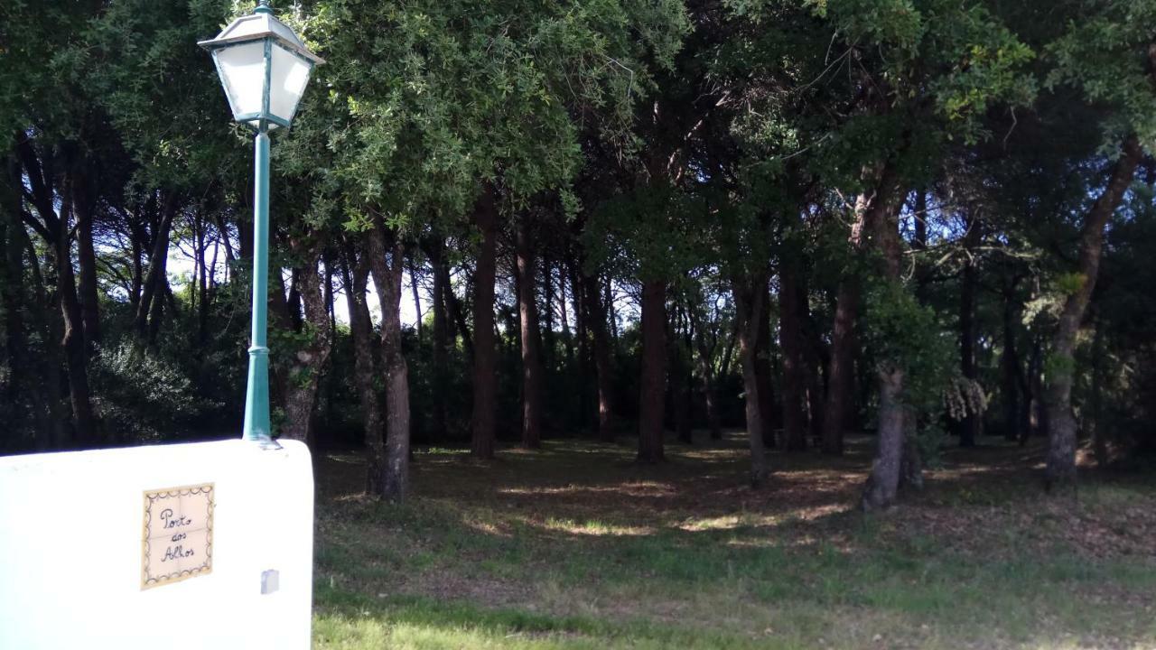 Enjoy The Best Of Countryside Leiria Bagian luar foto