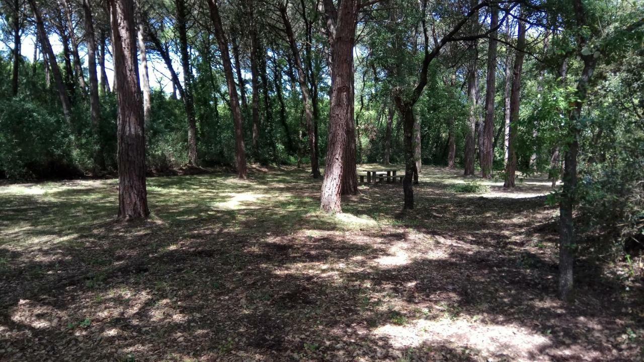 Enjoy The Best Of Countryside Leiria Bagian luar foto