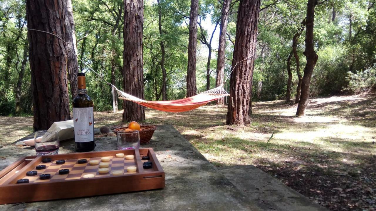 Enjoy The Best Of Countryside Leiria Bagian luar foto
