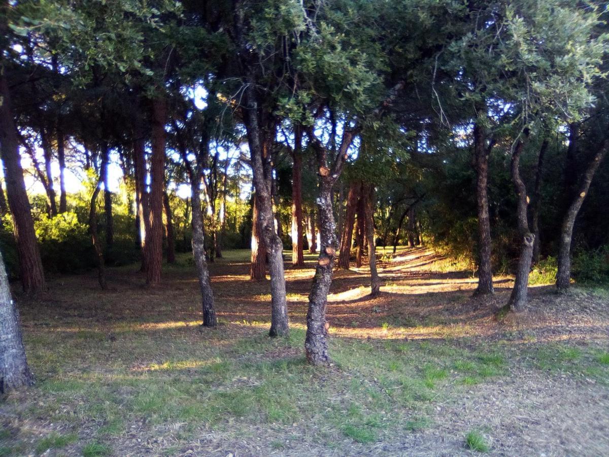 Enjoy The Best Of Countryside Leiria Bagian luar foto